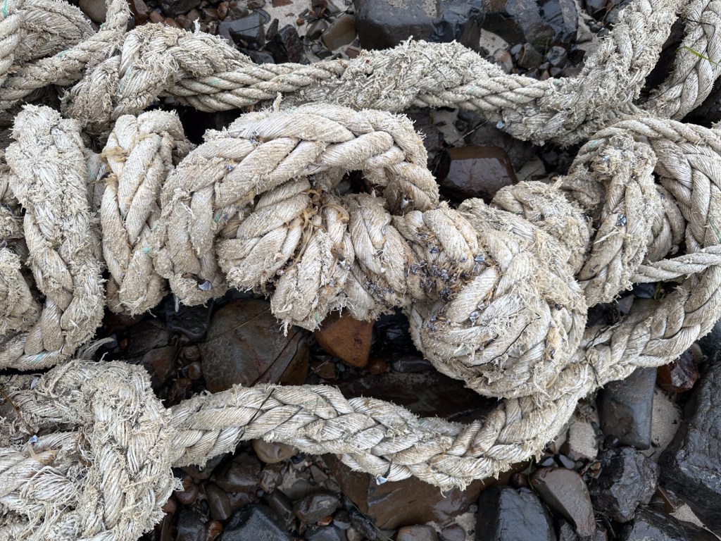 A tangle of knotted twisted commercial lines resting on wet cobbles.