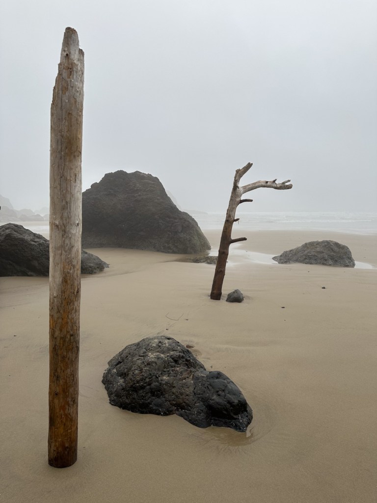 Foggy beach scene with four boulders and two large pieces of driftwood jutting from the sand.