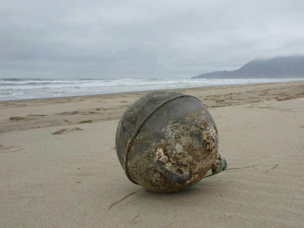 A buoy with a few oysters and scars from encrusting organisms now dead and gone. The buoy's resting on the beach. Surf zone and a prominent headland in the distance. Cloudy sky.