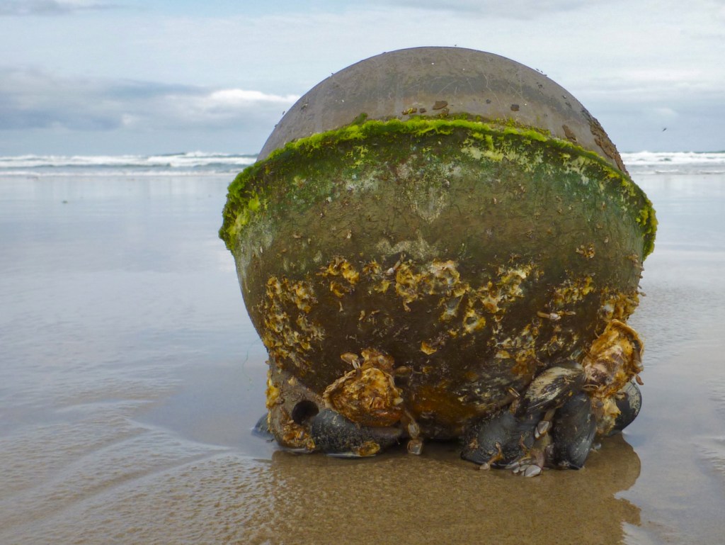 Buoy resting on the wet sand just above the surf zone. A couple large oysters and mussels are visible. Cloudy sky. 