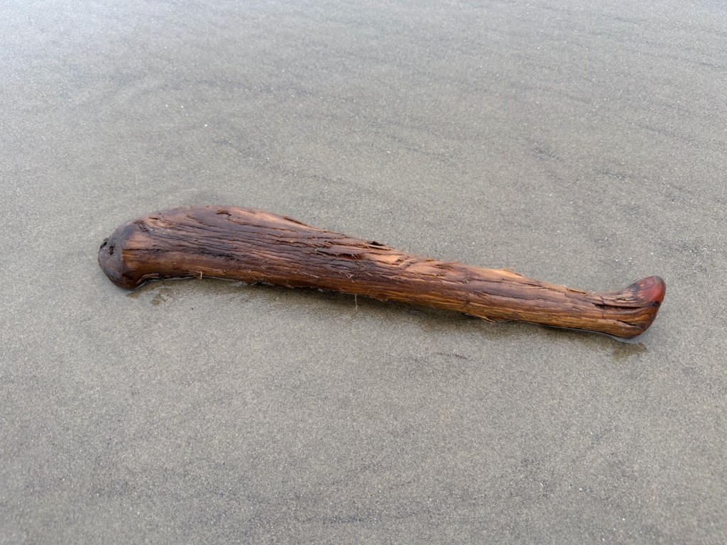 A piece of driftwood resembling a human femur rests on the sand.