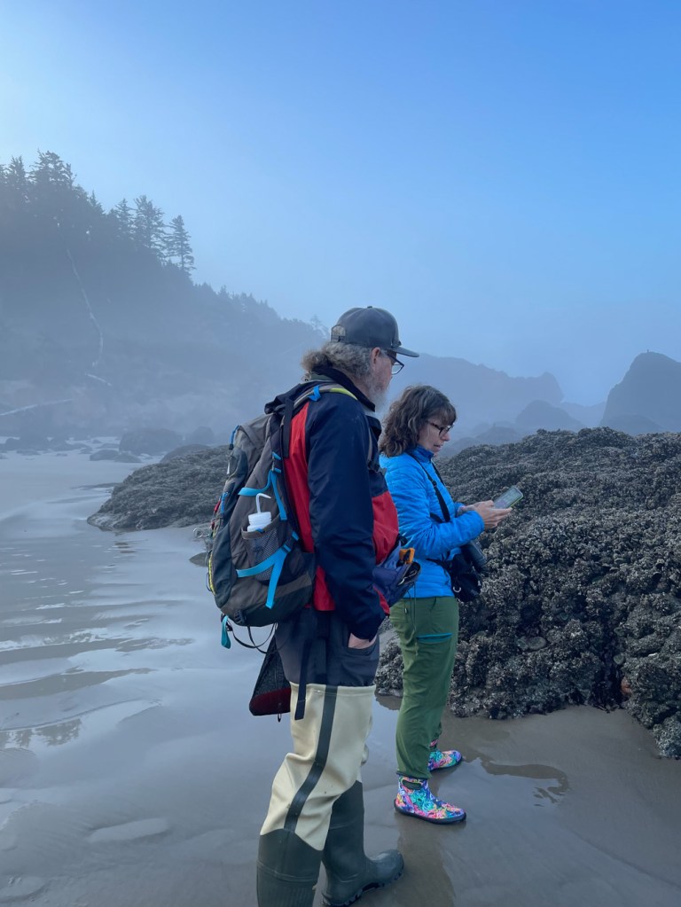Two people on the shore. A mix of sand and rocks in the background, and a forested slope beyond.
