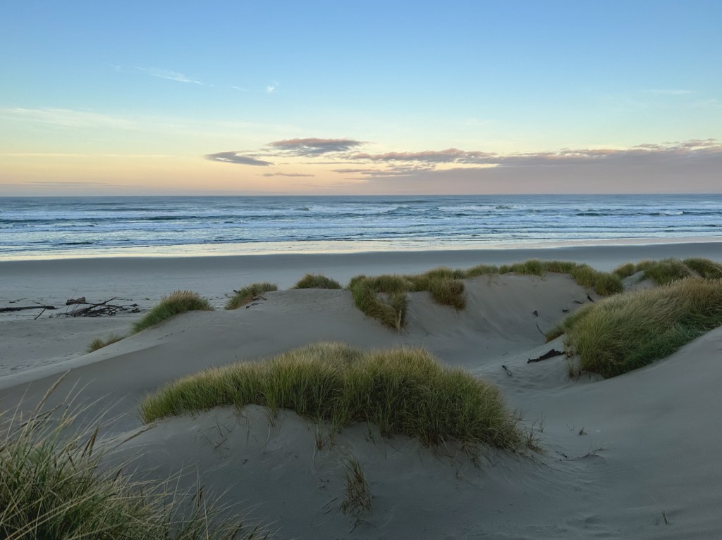 Seascape looking out to sea from the foredune. In the midground, the beach and surf zone. Mostly clear sky with a band of clouds on the horizon.