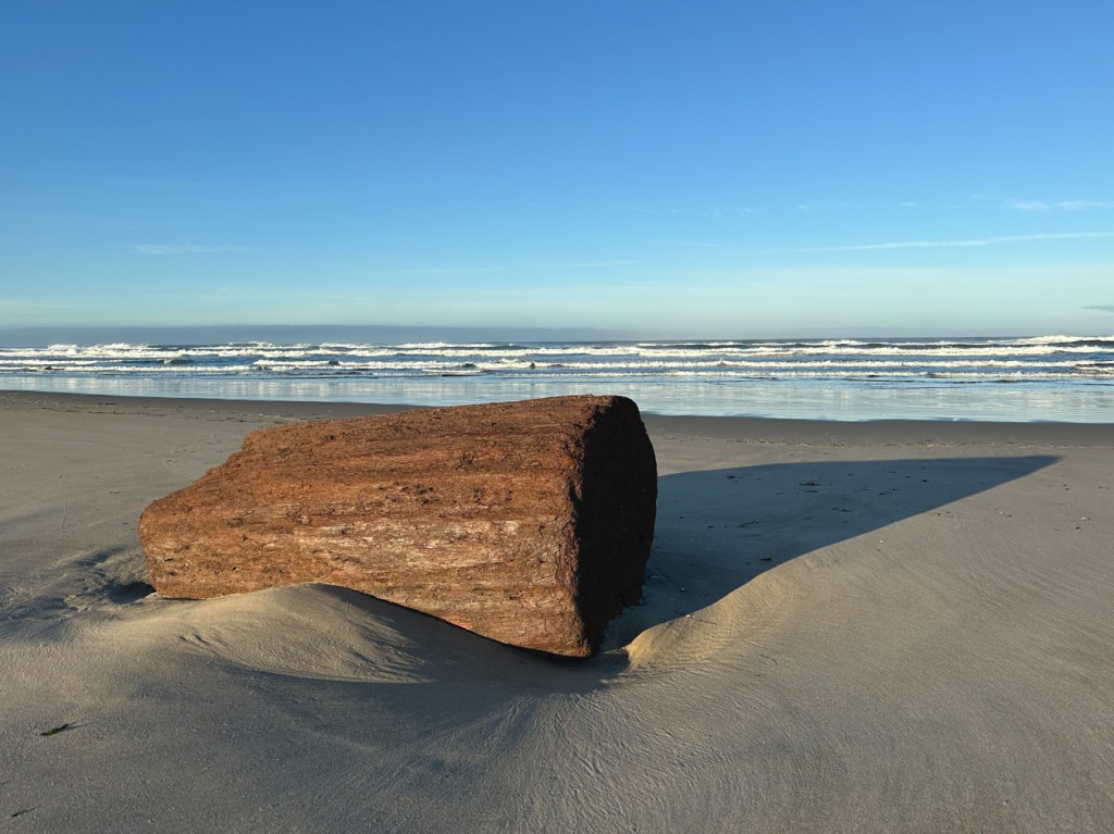 A fairly large but short drift log casts a shadow over the beach. Surf zone in the background. Clear sky.