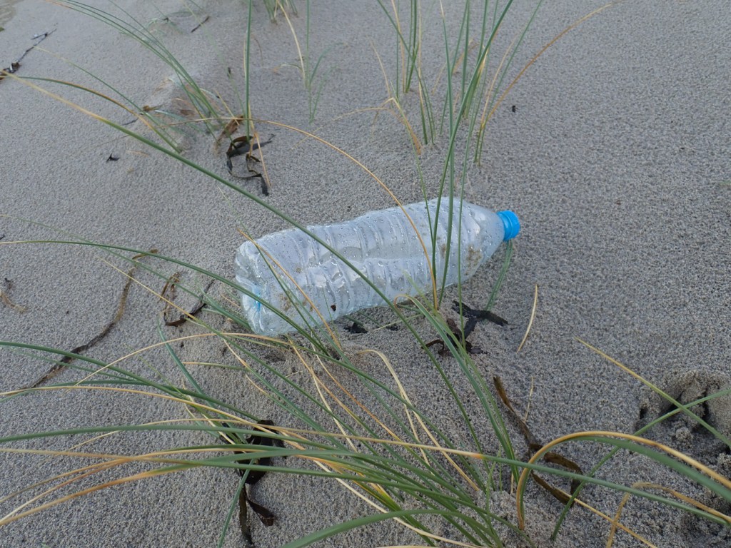 An empty plastic bottle rests on the sand, among a few beachgrass blades. 