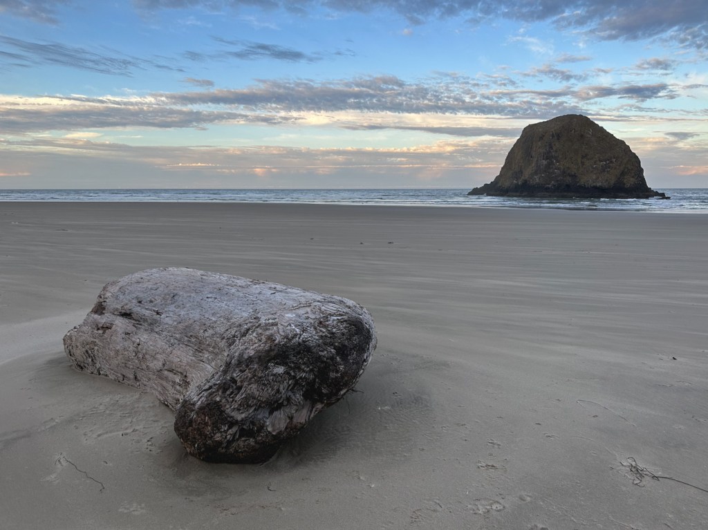 Seascape featuring a largish drift log in the foreground and a sea stack in the distance. Partly cloudy sky.