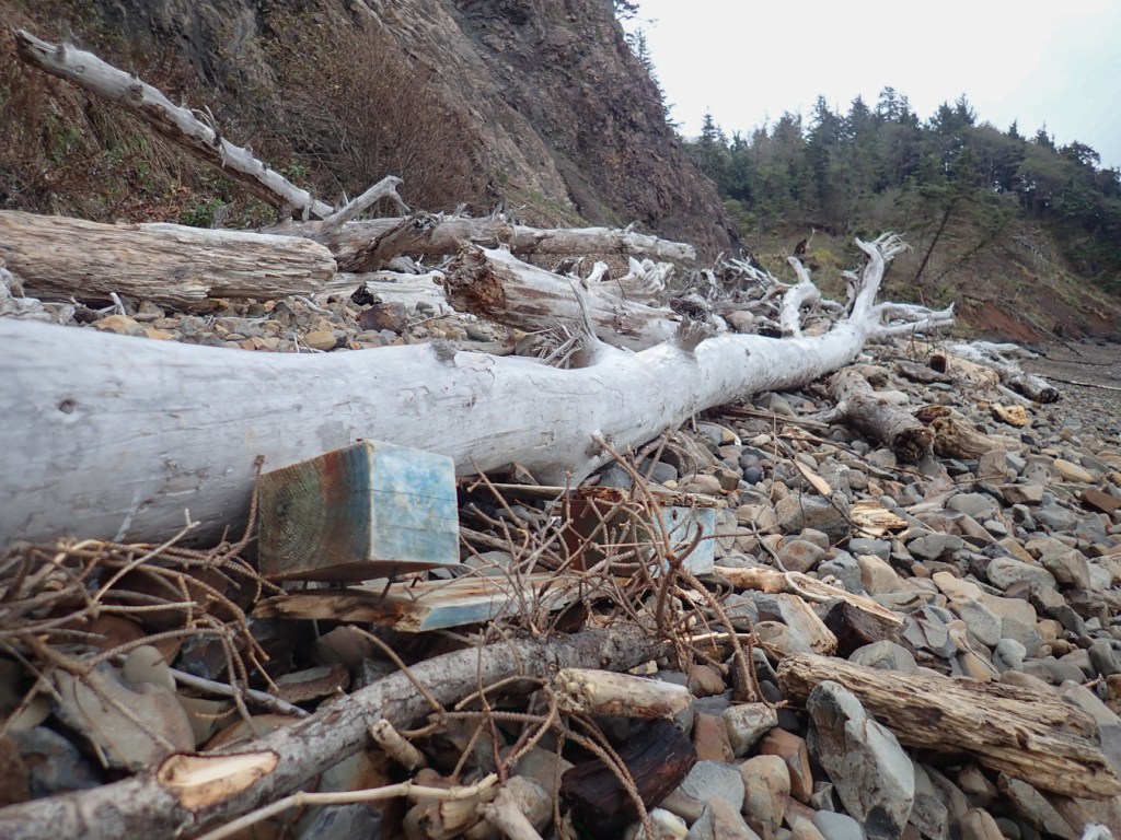 A zone of big wood resting on a cobblestone shelf