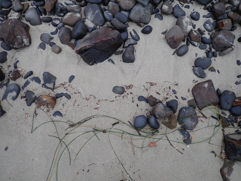 From top to bottom, cobbles, bare sand, mixed cobbles and sand with small terrestrial material, surfgrass, and at the bottom, bare sand.
