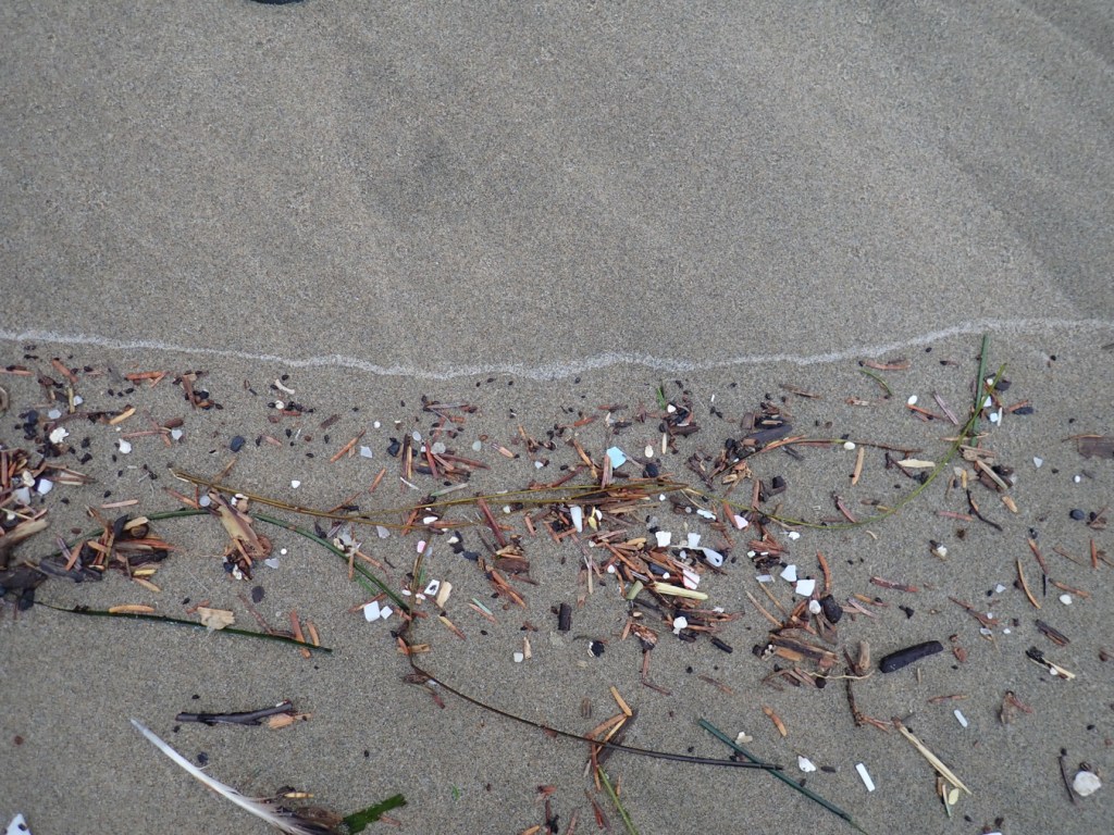 Lots of small plastic fragments left behind in the drift. (Resting on the sand.)