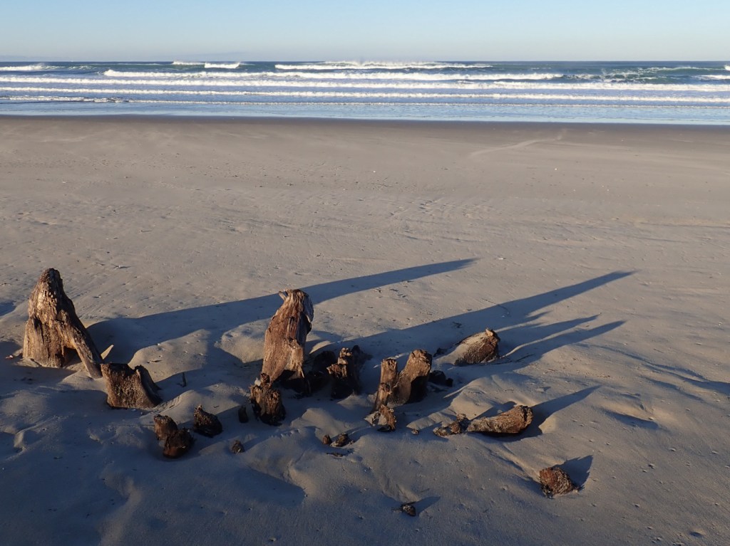 An upside-down root wad protrudes from the sand. Beach and surf zone in the background. Sunny sky.