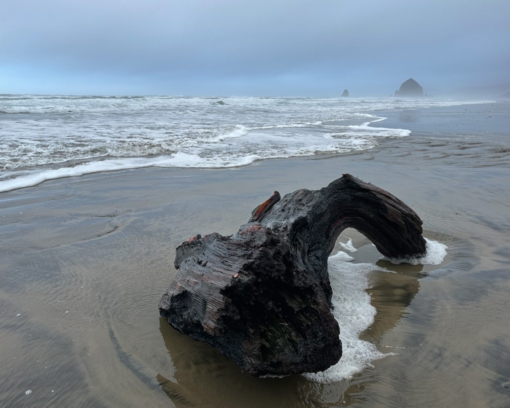 A chunk of driftwood resting on wet sand in the swash zone collects a bit of sea foam. Beach, surf zone, and a distant sea stack in the background. Misty, gloomy sky.