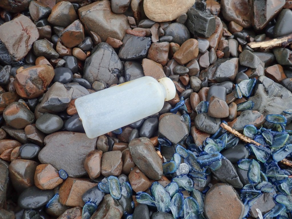A narrow mouth lab wash bottle rests on the cobbles.