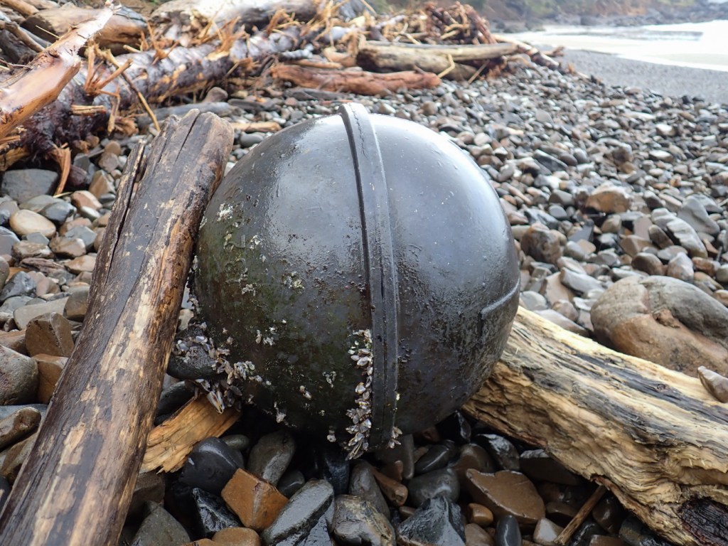 A two-lugged commercial fishing buoy rests among driftwood on the cobbles.