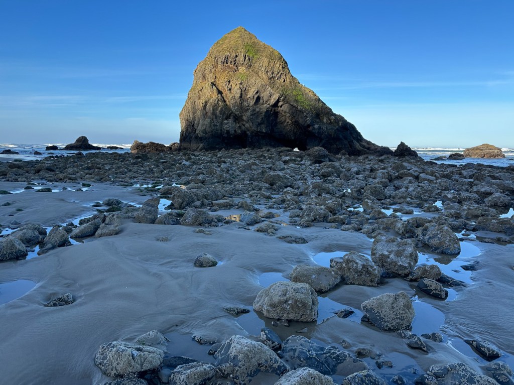 Rock garden below a stack partially illuminated by morning sunlight. Surf zone in the distance. Clear sky.