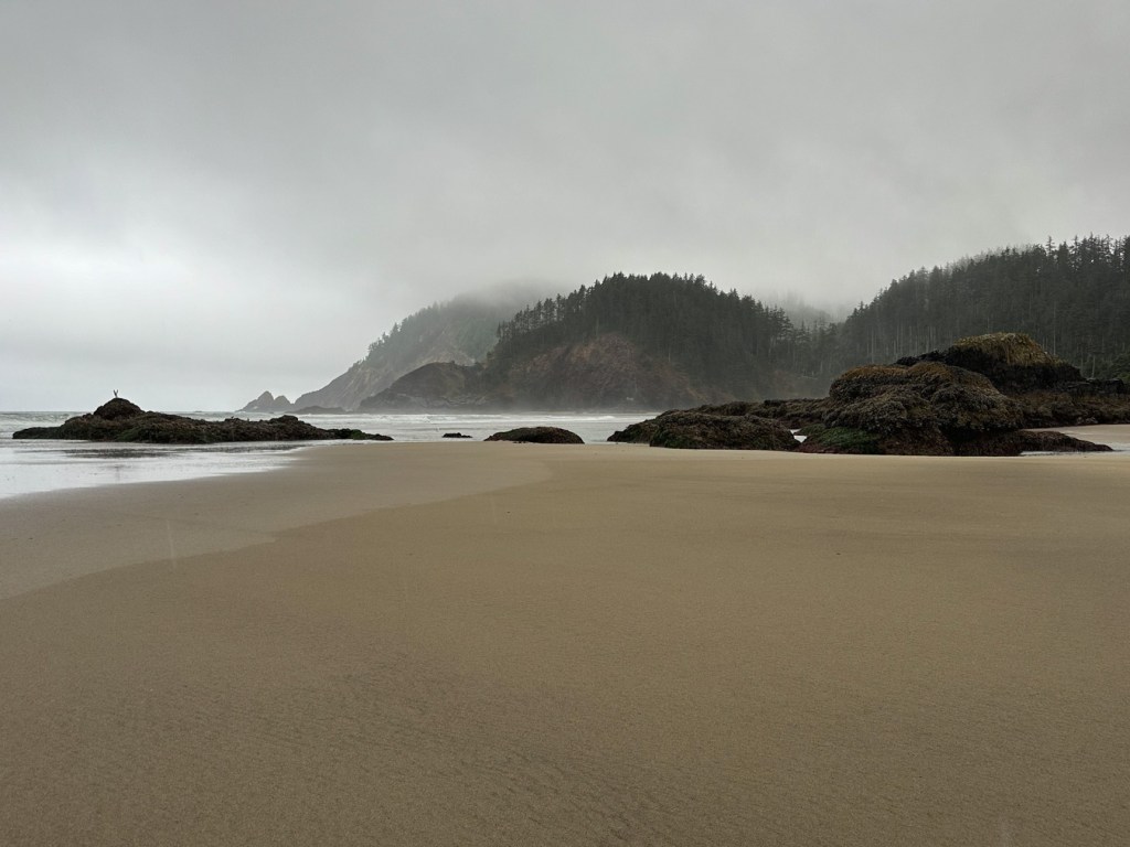 Beachscape with beach in the foreground. Intertidal rocks in the mid ground, and maritime forest in the distance. Moody sky.