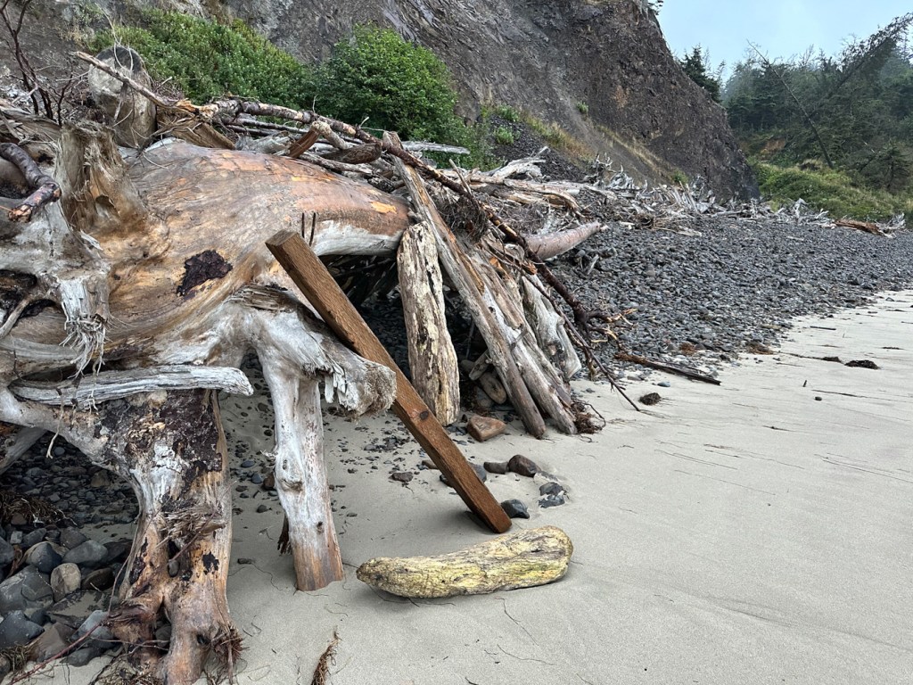 Driftwood shelter built where the sand meets the cobbles. A zone of driftwood rests against the base of a cliff at the top of the cobbles.