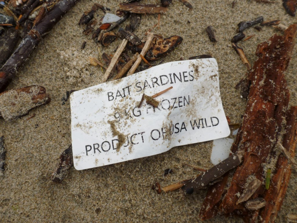Lost label resting in the sand among drifted debris: BAIT SARDINES, 9 KG FROZEN, PRODUCT OF USA, WILD