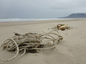 Lost commercial crab gear: A lengthy tangle of line and first and trailer buoys. No trap, though. Beach the surf zone, and a headland in the distance. Overcast sky.