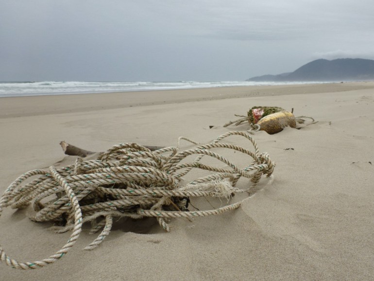Lost commercial crab gear: A lengthy tangle of line and first and trailer buoys. No trap, though. Beach the surf zone, and a headland in the distance. Overcast sky.