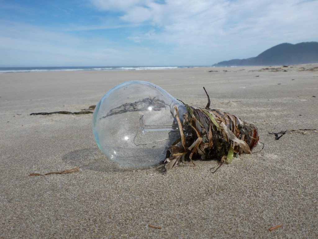 Large clear glass lightbulb, probably from a commercial fishing boat.