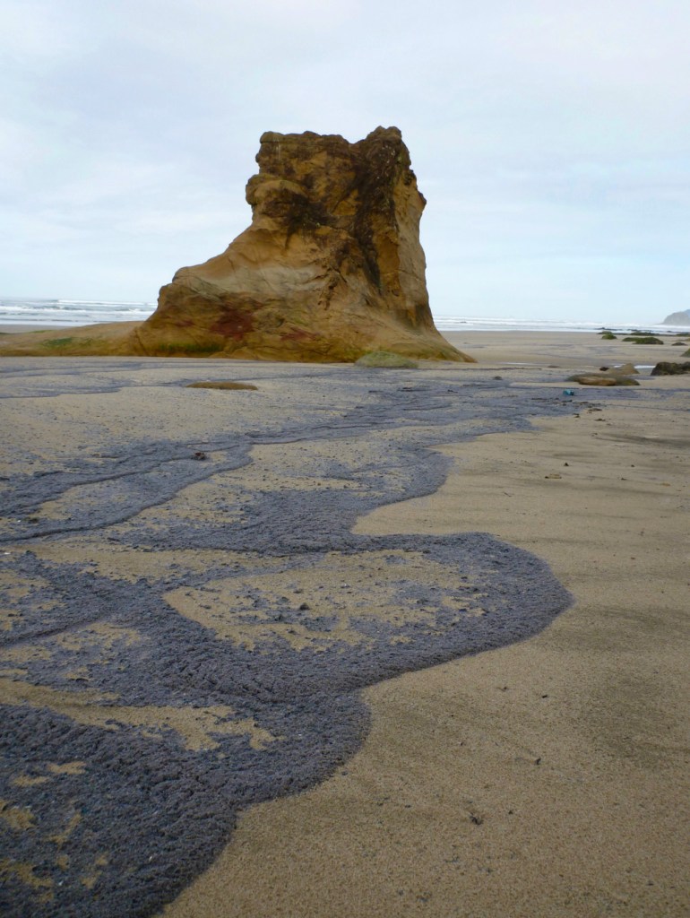 In the foreground, the receding tide has left strand lines of beached by-the-wind sailor Velella velella on the sand. In the mid ground an eroded (sandstone) rock; beyond that, the surf sone. Sky with this clouds.