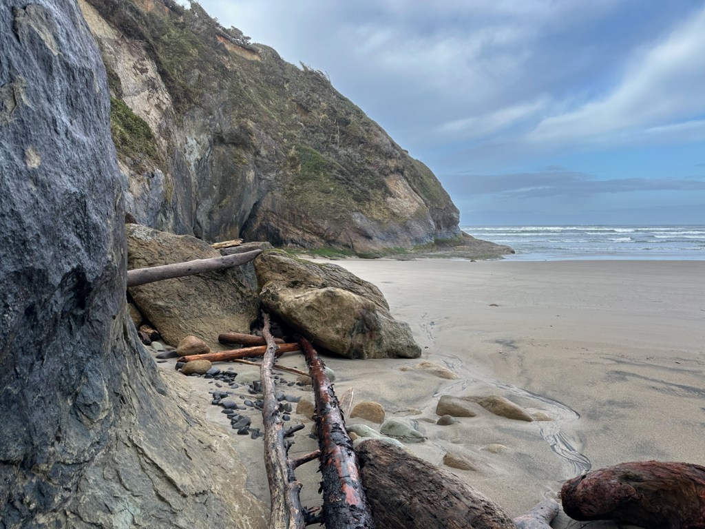 Beachscape featuring a bit of driftwood up against a cliff. Beach in the middle ground. Surf zone and a headland beyond. Cloudy sky.