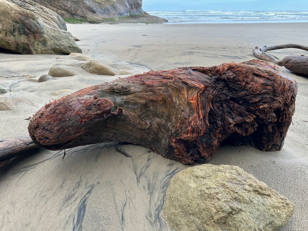 Beachscape featuring a large drifted remnant of a tree stump, much eroded. Beach in the middle ground. Surf zone and a headland beyond. Cloudy sky.