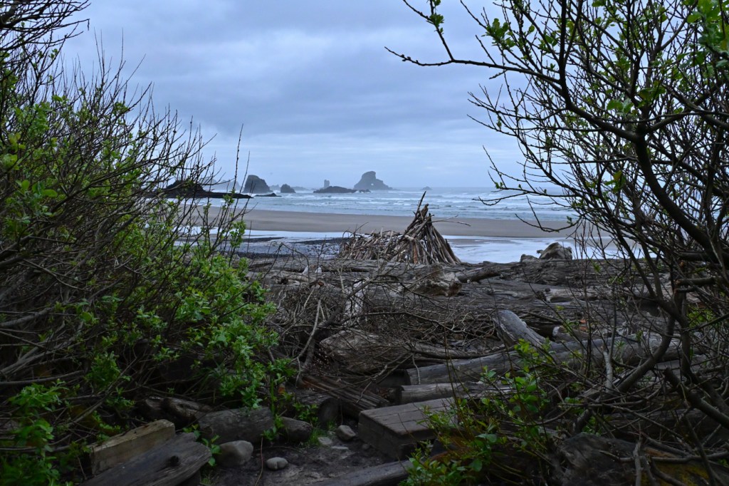 Beach, surf zone and offshore rocks framed by driftwood, willows, and a cloudy sky. 