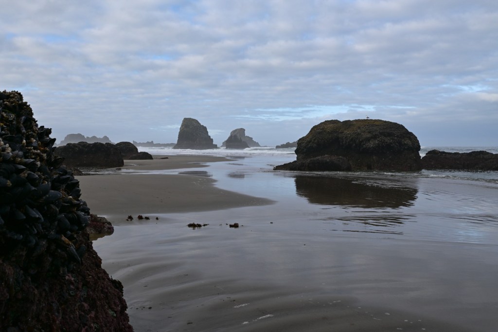 A beachscape with rocks jutting out of the sand and some reflections. Surf zone and offshore rocks in the distance, Mostly cloudy sky.