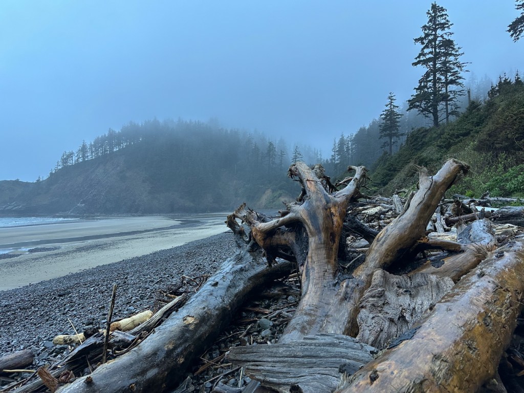 Accumulation of large driftwood on a shelf in the cobbles. In the distance, cobbles, beach surf zone and maritime forest. Cloudy sky with light rain.