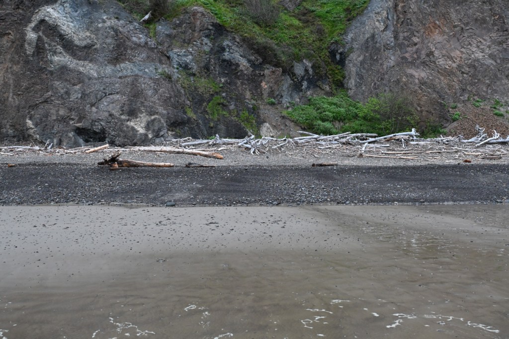 View landward from the swash zone across the sand and onto the cobbles where there is an accumulation of driftwood where the mountain meets the shore.