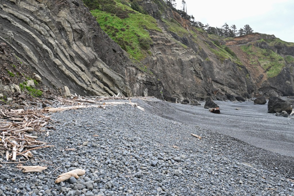 Driftwood accumulates on a shelf high in the cobbles. Steep headland walls in the background.