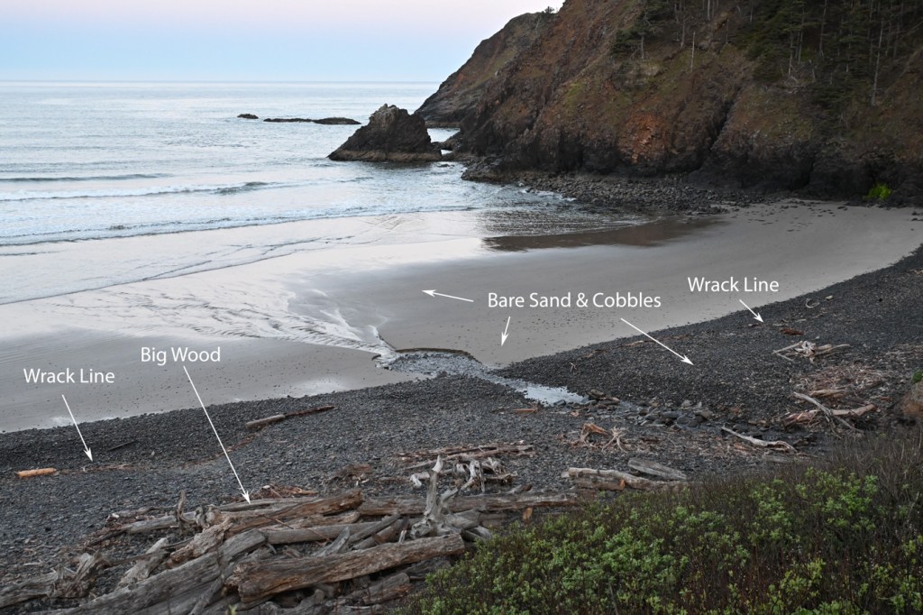 A seascape extending from willows on shore out across the cobbles and a sandy beach to the surf zone and the open ocean. A steep, rocky headland at the top left-hand edge of the scene. (Labels for Wrack Line, Big Wood, and Bare Sand & Cobbles.