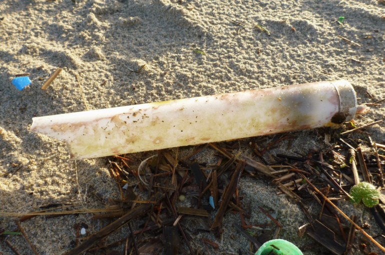 A fragment of a flourescent light bulb rising on the sand along with a couple smaller plastic fragment and sea wrack.