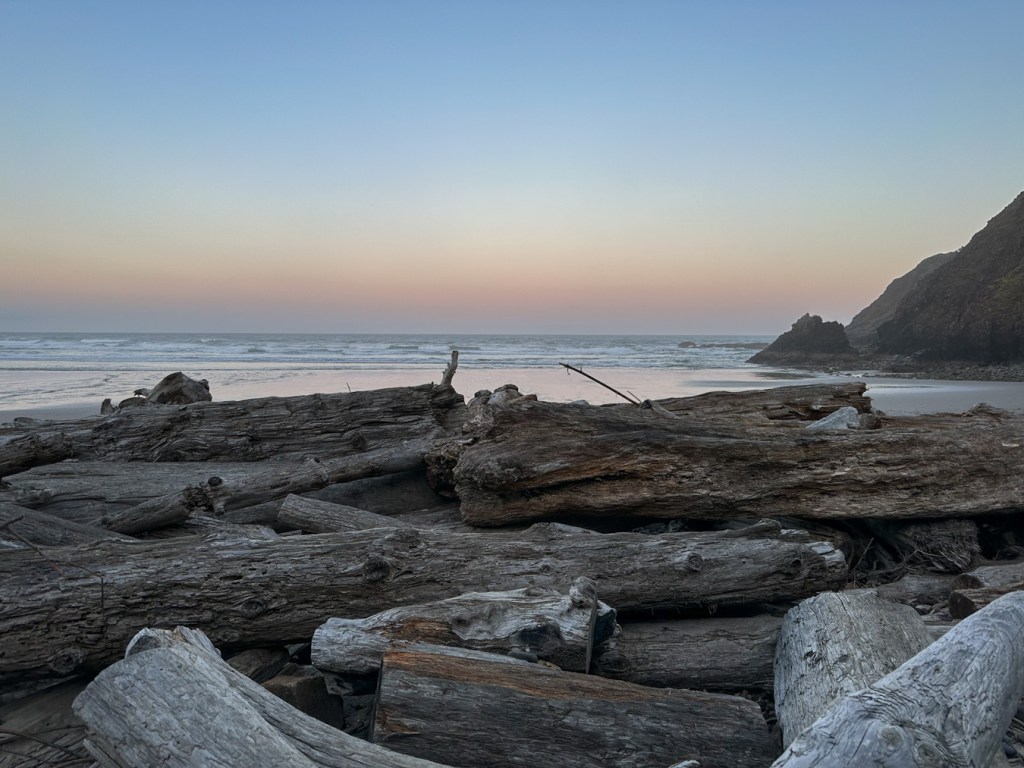 A seascape with an array of big driftwood in the foreground. A headland just into the surf zone in the mid ground. Beyond, a cloudless sky with a band of dawn color along the horizon.