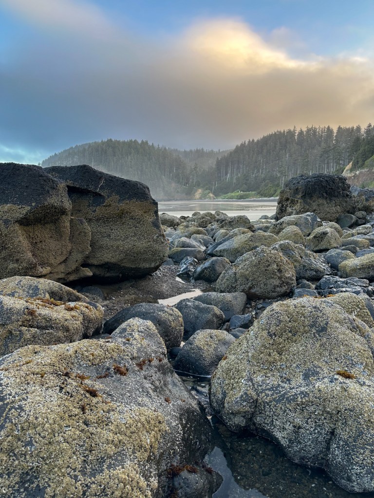 Seascape with a boulder field in the foreground, beach in the mid ground, and the forested slopes of a headland in the distance. Cottony clouds.