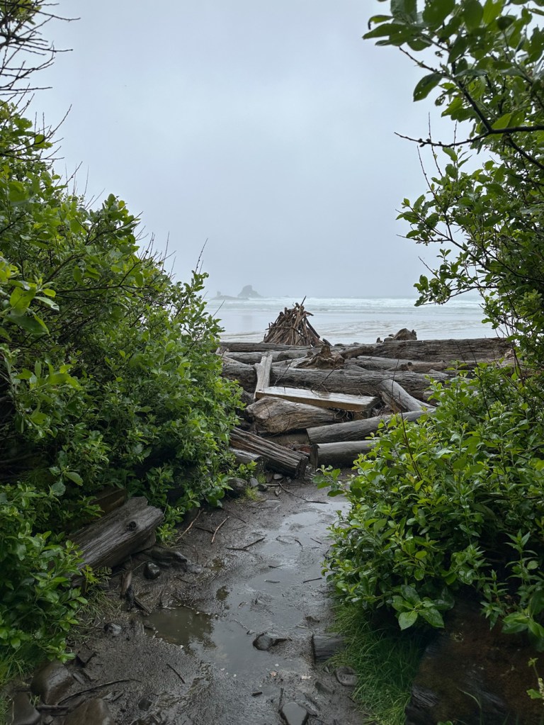 A muddy trail ends in a lineup of big driftwood. Beyond that, the surf zone. Gray drizzly sky.