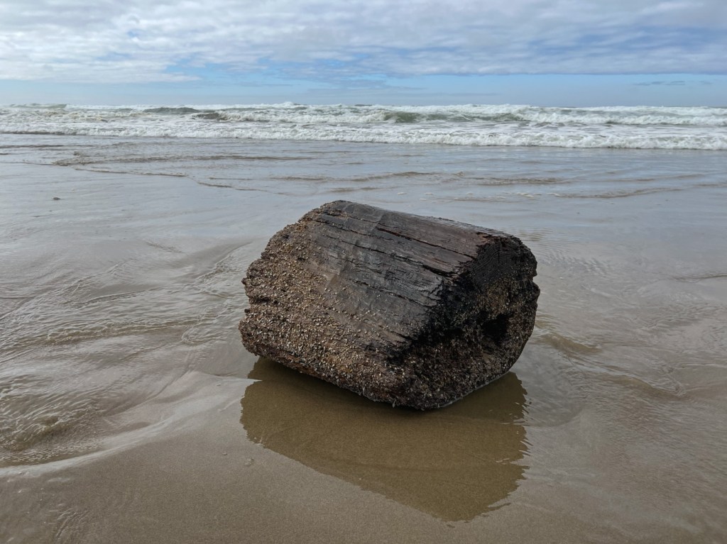 A seascape with a short drift log in the swash. Surf zone in the distance. Partly cloudy sky.