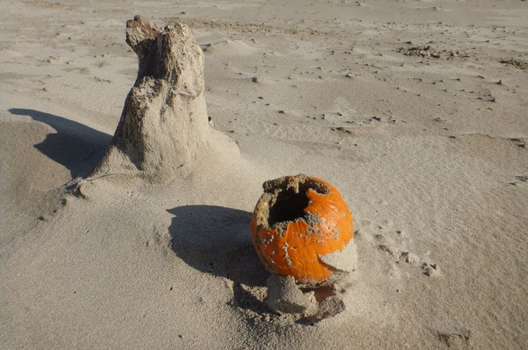 A drifted pumpkin rests on the beach near a driftwood stump.