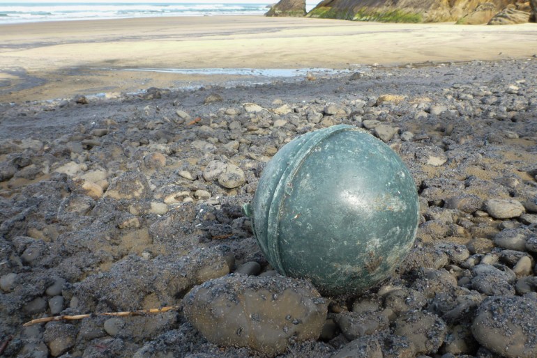Plastic float resting in the cobbles. Lots of tiny Velella velella share the scene.