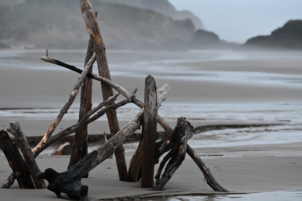Remnants of a driftwood fort or monument. Beachscape in the background.