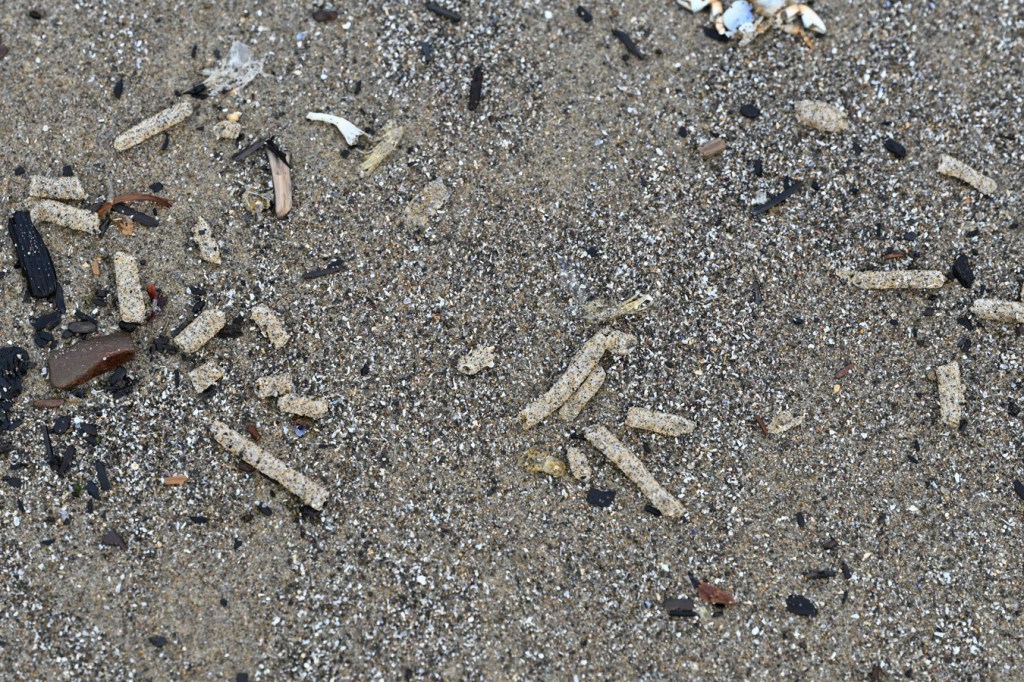 Fragments empty and drifted soft, sand-covered tubes rest on the sand. 