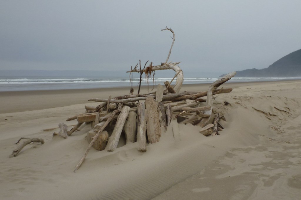 A curving branch of a drifted tree is draped with bull kelp remnants, and a driftwood fort, in some disarray, has been constructed around the tree. A distant headland. Sky cloudy.