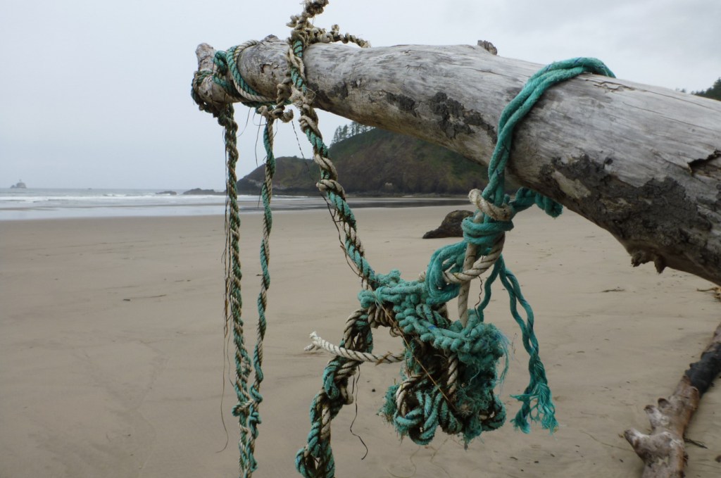 Beachscape with lost and tangled lines draped around a large driftwood branch jutting skyward above the sand.