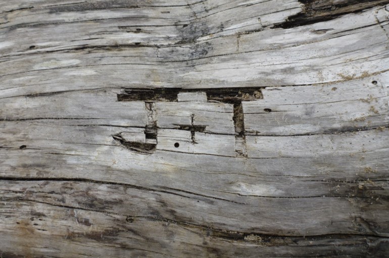 J + T carved in weathered driftwood.