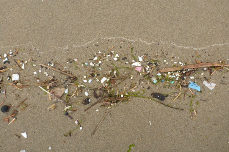 Driftline dominated by small plastic fragments on the sand.