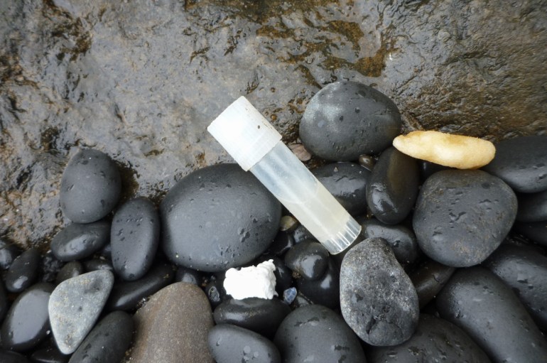 A small capped vial about half full of a translucent gel rests in the cobbles.