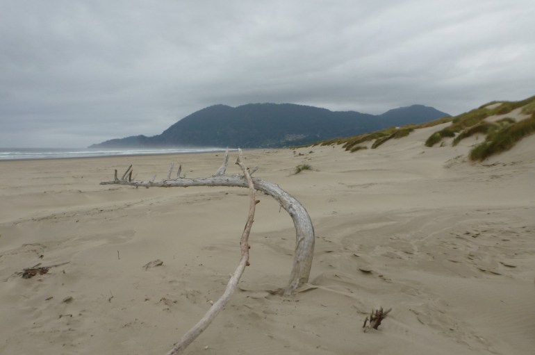 Beachscape featuring some driftwood in the foreground. Beach, dunes in the mid ground. In the distance, an extensive headland.