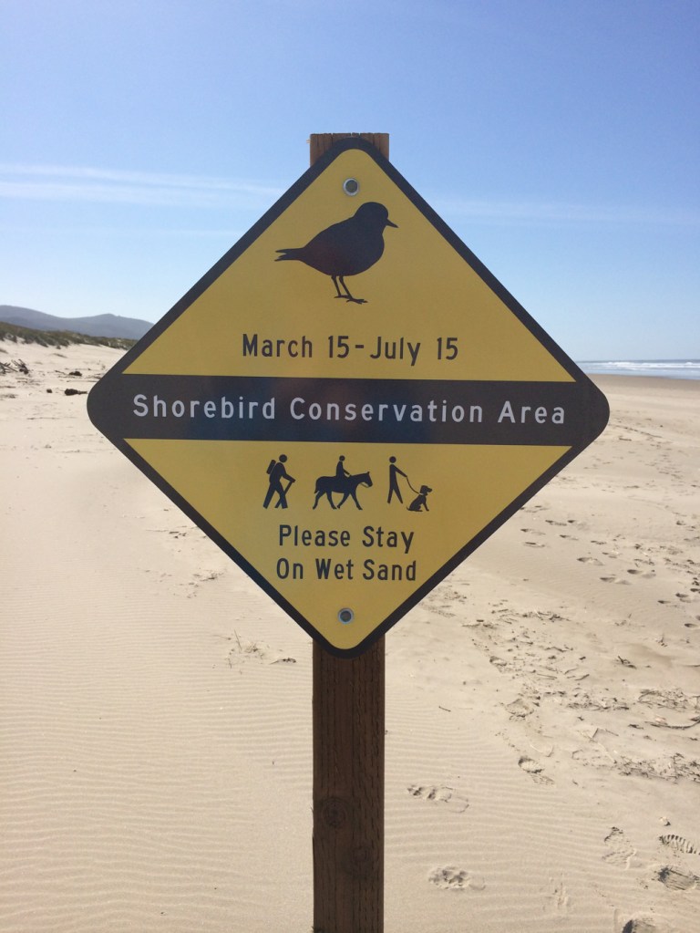 A tall sign on the beach warning visitors they are entering a shorebird conservation area.