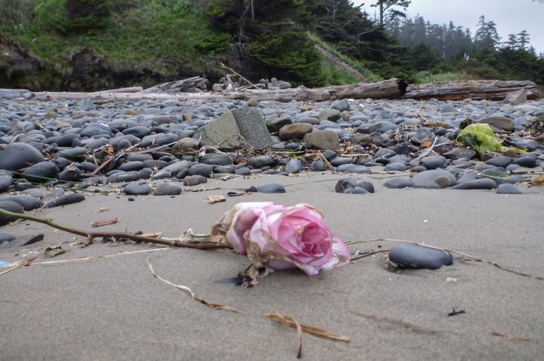 A cut rose rests on the sand just below the cobbles and other drifted material.